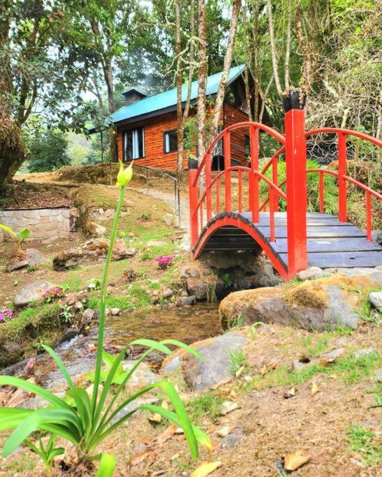 Unicorn Lodge: Direct Riverfront : Unique Experience ซาน เจราร์โด  เด โดตา ภายนอก รูปภาพ